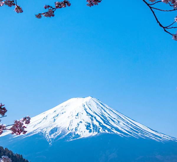 日本高度人才經(jīng)營(yíng)管理簽證